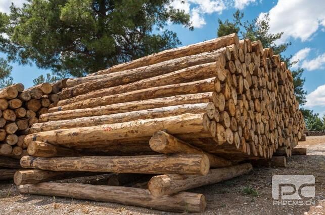 木材防腐劑廠家